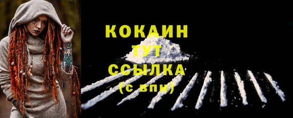 дживик Балахна