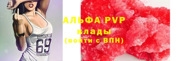 стафф Баксан