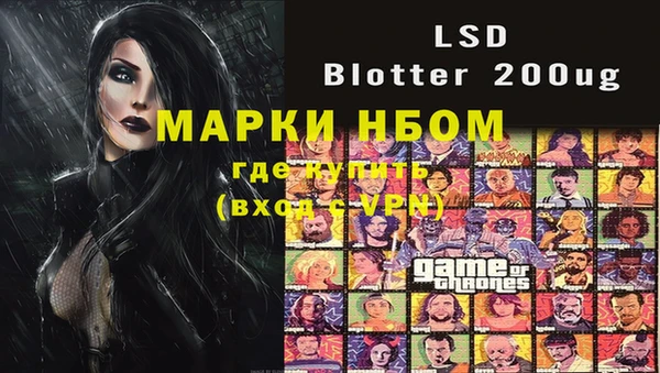 стафф Баксан