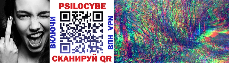 где можно купить   Злынка  Псилоцибиновые грибы мухоморы 